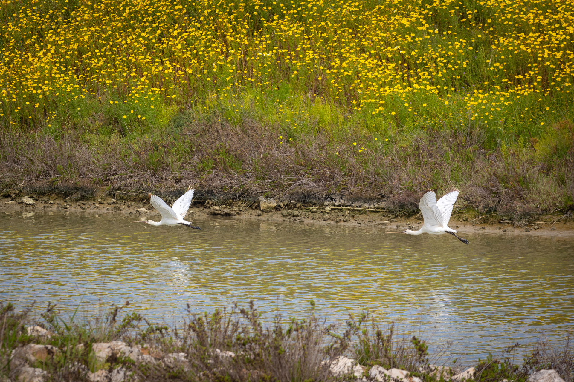 From the Heart of the City to Taranto’s Natural Wonders